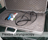 Flexible Laryngoscopy