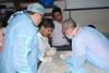 9th workshop on Phonosurgery: 31 July, 2015 to 1 & 2nd Aug 2015 at Venue: S.P. Jain Auditorium, Bombay Hospital
