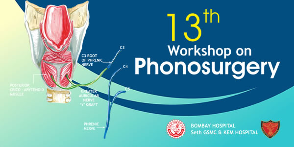 13th Workshop on Phonosurgery