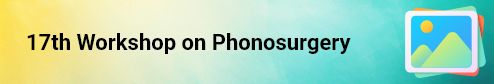 17th Workshop on Photosurgey