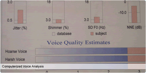 Computerized Voice Analysis Report